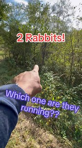 Man the rabbits were EVERYWHERE!! To bad the tracking wasnt that great! Dogs were working jumping rabbit after rabbit but just couldnt really lock on to them like normal! Still super dry but we still are going to drop dogs! Glad im feeling better and can get back to doing what I love! #bawlinoutkennels #bawlinoutkennel #gundogtrainer #gundogtraining #rabbithunting #beagles #rabbit #thankful #dogtraining | Steve Thomas