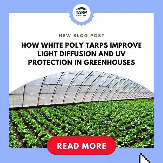 How White Poly Tarps Improve Light Diffusion and UV Protection in Greenhouses