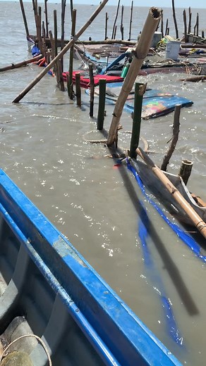 Exploring a Waterlogged Area with Submerged Objects