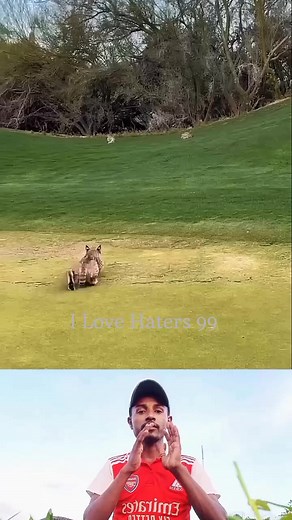 Unity is very important for all.😥 #unity #fbreelsfypシ゚ #rabbit #reelsfb #reelsviral #asianreels #asian #asiaregion | I Love Haters 99