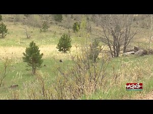 PREVIEW: Fireworks at Mount Rushmore