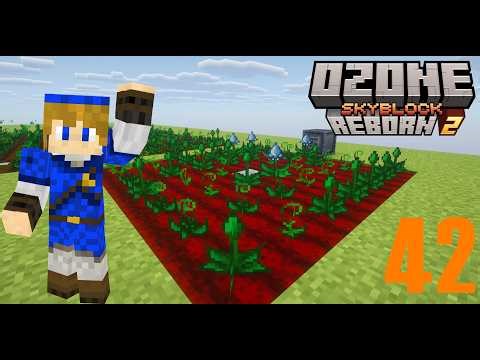 Ozone Skyblock Reborn 2 - #42 [FR] - Première graine de tier 5
