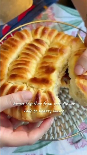 Intro to baking breads | Learn how to bake breads with me