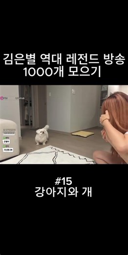 김은별 레전드 15