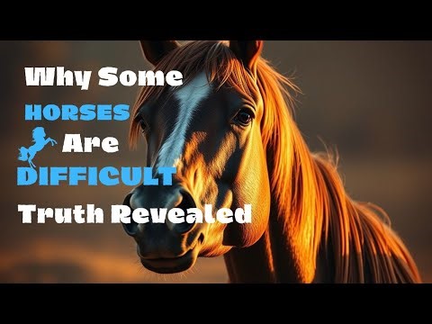 Why Some Horses Are 'Difficult' — The Truth No One Tells You