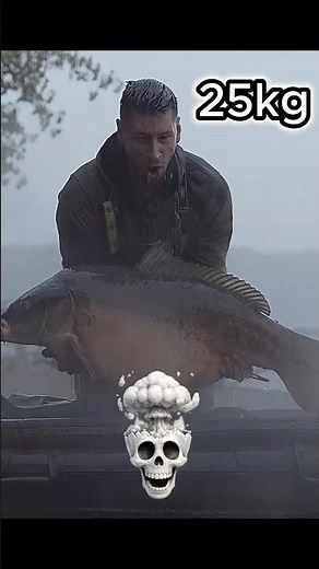 MIRROR CARP FROM 1 TO 25KG