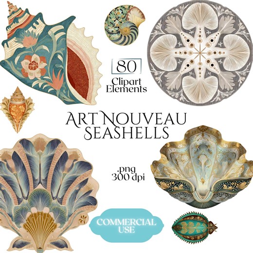 Art Nouveau Seashells Clipart, Ornamental Vintage Sea Shell PNG Graphics With Transparent Background for Branding, Decor & POD - Etsy