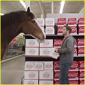 Budweiser Super Bowl 2015 Commercial: Clydesdale Horse Makes a Beer Run – Watch Now!
