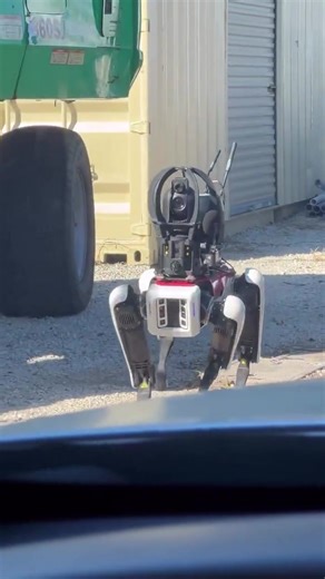 3.1K views · 11 reactions | Secret Service robot dog at Mar-a-Lago | John Smith Marketing | Facebook