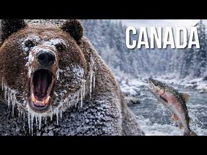 CANADÁ SALVAJE: TERRITORIO BRUTAL | SUPERVIVENCIA AL LÍMITE A -40°C | Documental Completo