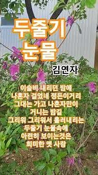두줄기 눈물 #김연자#나훈아#트로트#1971나훈아ㆍ최고인기애창곡