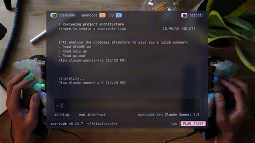 一个视频完全掌握opencode的详细玩儿法