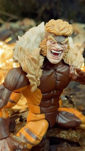 Old Enemies, New Scars #actionfigures #marvellegends #sabertooth