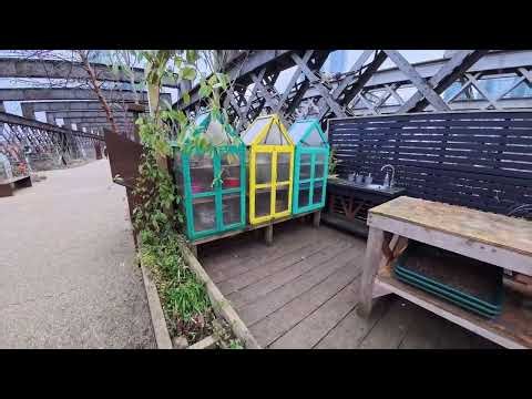 Exploring Castlefield Viaduct | National Trust’s Urban Garden in Manchester