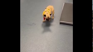 120K views · 975 reactions | SUSPECTED ACQUIRED NARCOLEPSY...