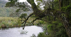 Video by Pressmaster on Pexels