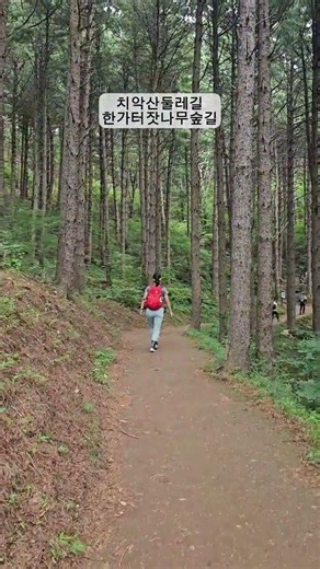 치악산 둘레길 11코스 한가터 잣나무 숲길 걷기 좋은 원주 트레킹