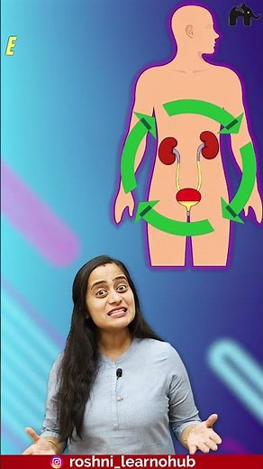Excretory products and elimination Class 11 Biology with Roshni Mam #concepthogacrystalclear