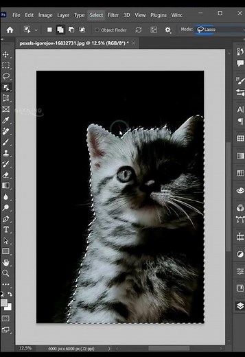 Adobe Photoshop 2026 Tips - Using Mask in Photoshop.... Follow for more #dkgfxking #gfxking