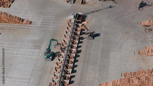 Timber processing plant: log sorting and transportation system