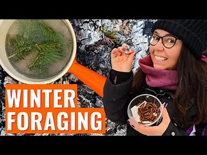 WINTER FORAGING: Wild Food in Nova Scotia, Canada