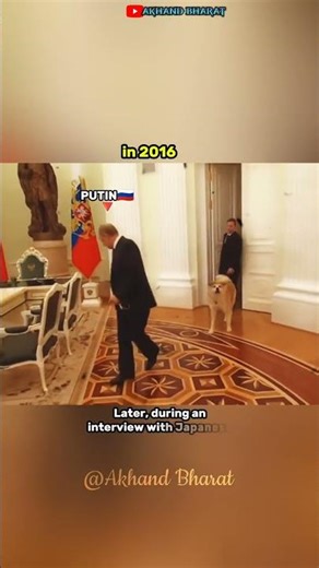 The Dog🐕 Japan 🇯🇵Gifted to Vladimir Putin🇷🇺 |