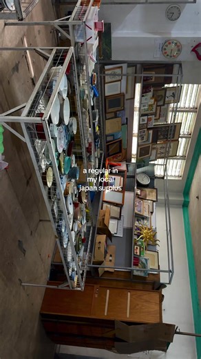 Amazing Japan Surplus Finds for Only ₱80!