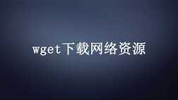如何用wget命令下载网络资源？