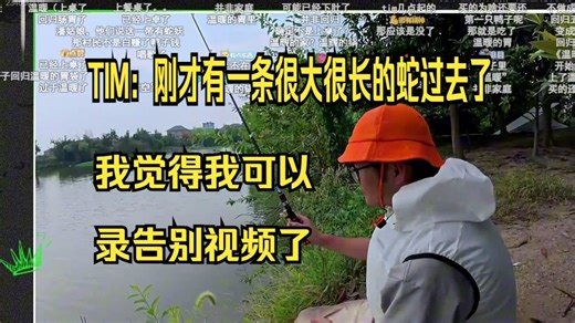 TIM：刚才有一条很大很长的蛇过去了，我觉得我可以录告别视频了【Tim在岛上生存100小时】