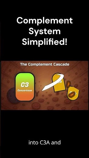 The Complement System Simplified! #education #study#immunology