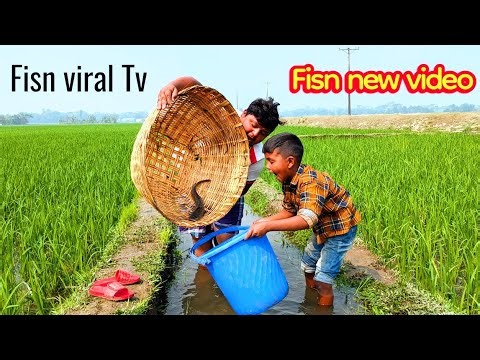 Fisn 🐟 In 2026 Best video