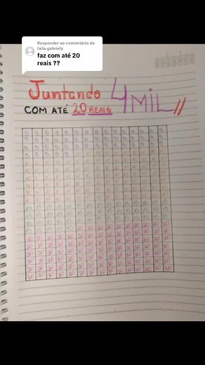 Desafio Financeiro: Juntando 4 Mil Reais Com 20 Reais