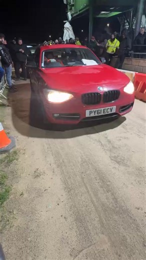 "Highgate" Fur, feather & misc auctions on Reels