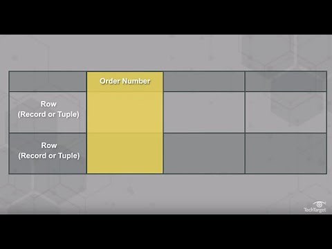 What is a Relational Database? What is a Relational Database Used For?