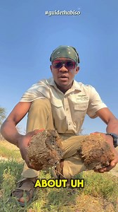 A brief explanation about the importance of Elephant dung! #guidethabiso | Thabiso Molatlhegi