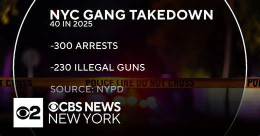 NYPD arrests 9 alleged gang members accused in Brooklyn shootings