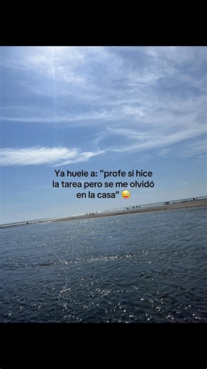 Humor Estudiantil: Excusas Clásicas para la Tarea