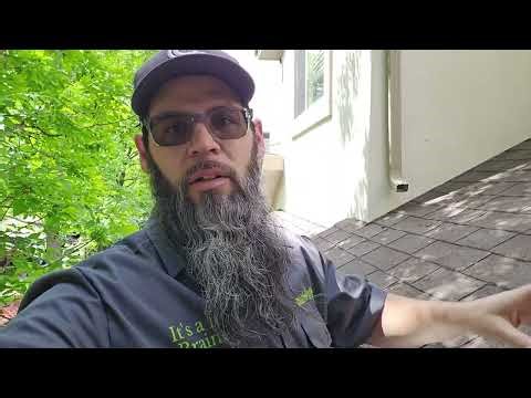 Hand Scooped vs Leaf Blower