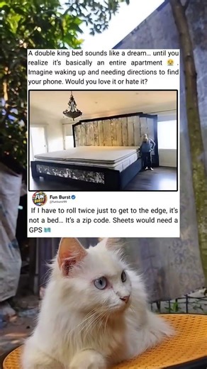 This Giant Bed Is Basically an Apartment