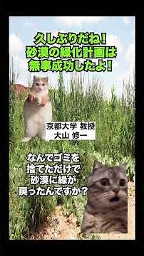【サハラ砂漠 緑地化】なぜ砂漠にゴミとフンを捨てるのか？京大教授による砂漠緑化プロジェクト #猫マニ #猫ミーム #shorts