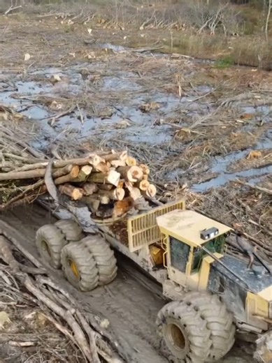 Understanding SCL Logging Techniques