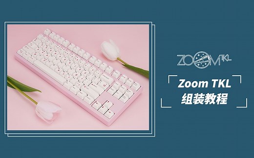 【ZOOM TKL】安装教程