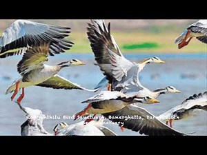 AN ART INTEGRATED PROJECT IN BIOLOGY