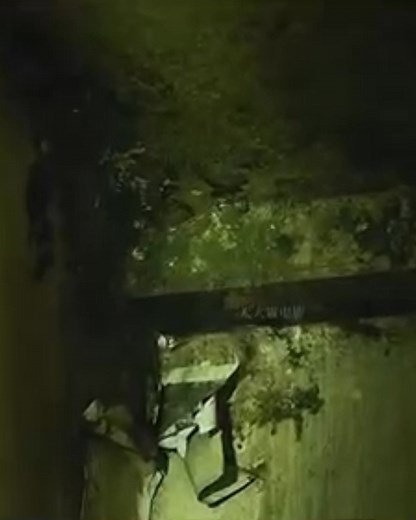 phim hay | Queen Review