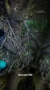 55K views · 2.6K reactions | It’s important to be creative and...