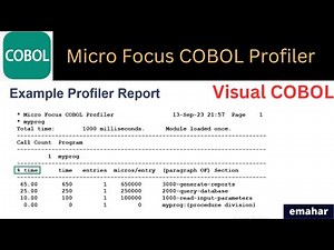 Micro Focus COBOL Profiler | Visual COBOL