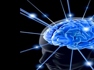 Stevia Side Effects - All You Need To Know – Part 2