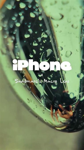 A look inside the macro world 🔎 #macro #shotoniphone #cinematic