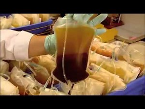 Blood Bank Processing