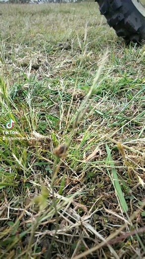 Monty Jackson on TikTok